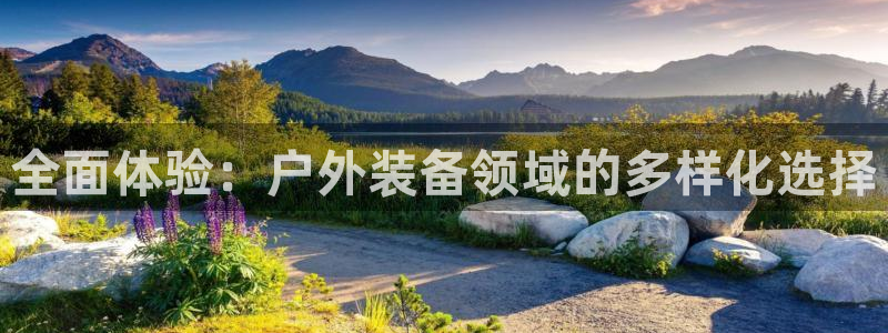 新宝gg登录地址