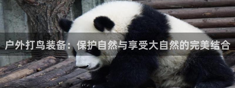 新gg官网_新宝GG创造奇迹