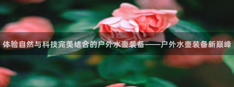 新宝GG无法充值