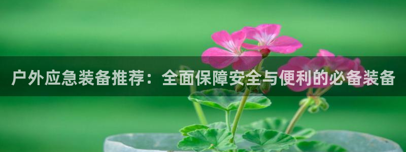 新宝gg登录线路测试