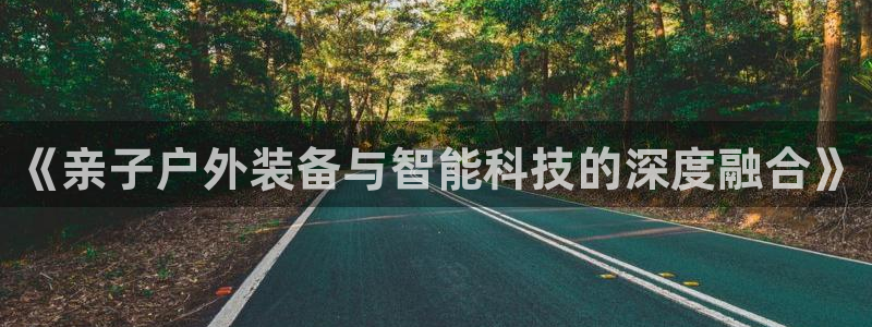 新宝gg平台登录