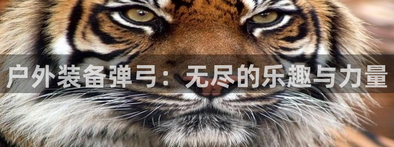 新宝gg娱乐盟主