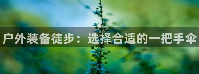 新宝gg   创造奇迹