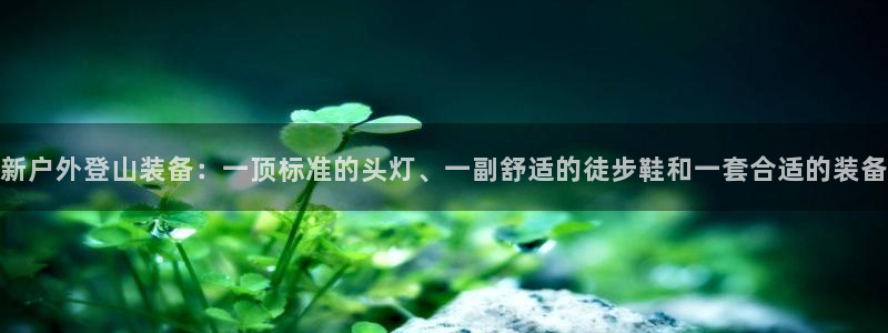 新宝gg怎么做代理