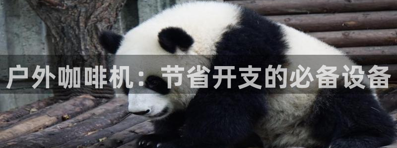 新宝gg直属上级