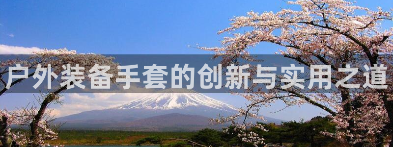 新宝gg建立团队